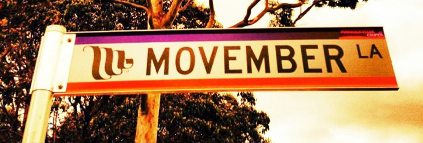 A picture of Movember Lane street sign in Sydney.