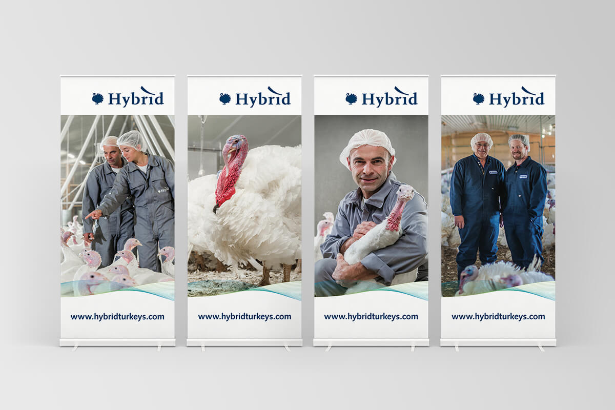 Hybrid Turkeys stand up banners