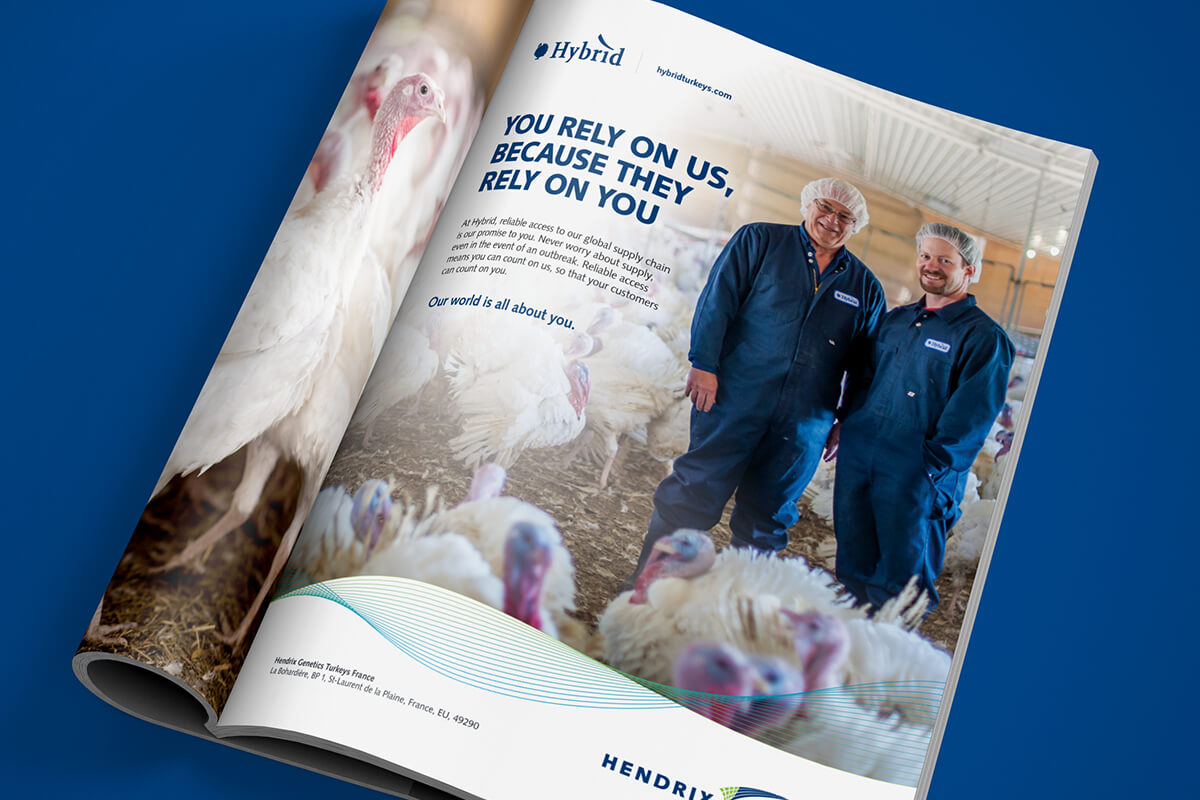 Hybrid Turkeys magazine ad