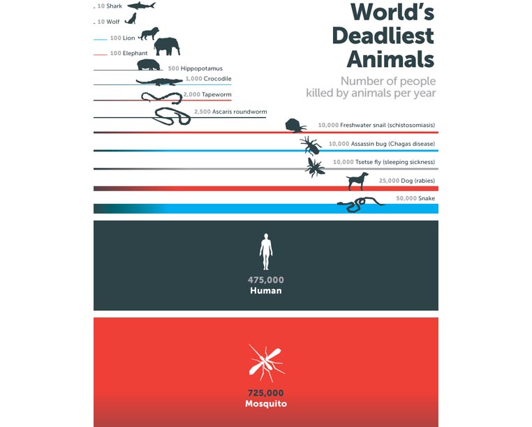 Why you should love infographics | Stryve Digital Marketing