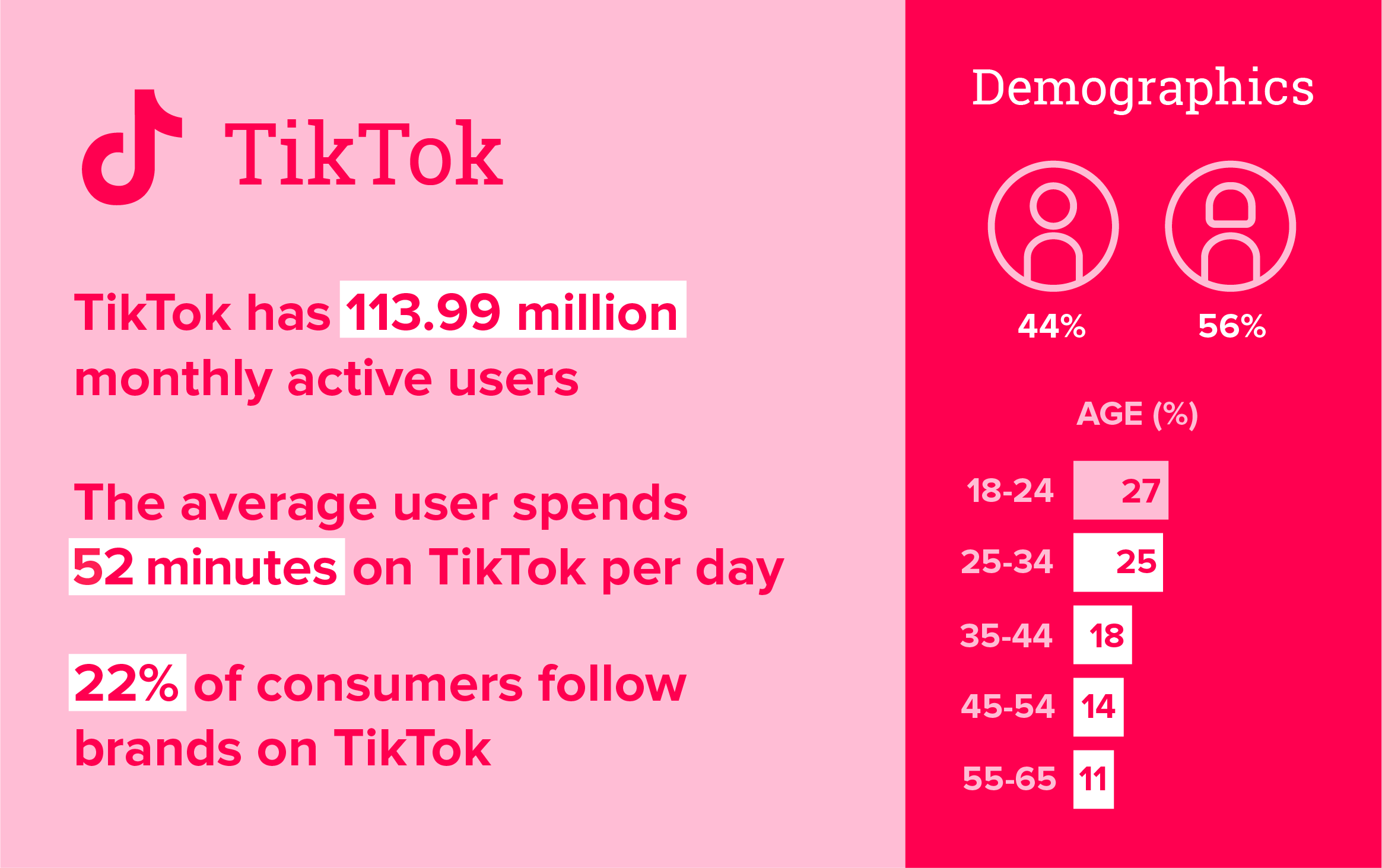 2022 TikTok statistics