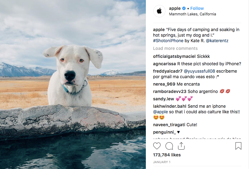 Apple's #ShotoniPhone campaign using user generated content (UGC).