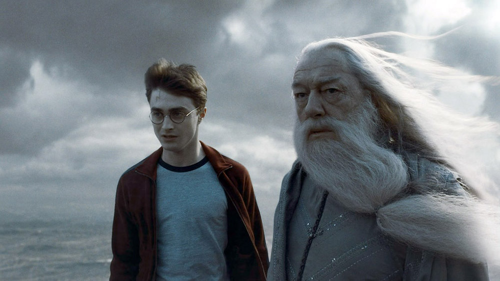 Screenshot of Harry Potter and Dumbledore.